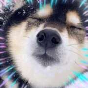 ヒメ日記 2025/02/23 15:13 投稿 本上 西船橋おかあさん