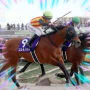 ヒメ日記 2025/02/23 19:26 投稿 本上 西船橋おかあさん