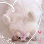 ヒメ日記 2025/03/04 14:34 投稿 本上 西船橋おかあさん