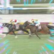 ヒメ日記 2025/03/08 17:31 投稿 本上 西船橋おかあさん