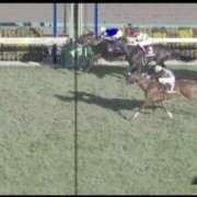 ヒメ日記 2025/03/10 08:38 投稿 本上 西船橋おかあさん