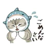 ヒメ日記 2025/03/14 13:59 投稿 本上 西船橋おかあさん