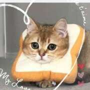 ヒメ日記 2025/03/31 22:34 投稿 本上 西船橋おかあさん