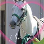 ヒメ日記 2025/04/09 17:46 投稿 本上 西船橋おかあさん