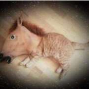 ヒメ日記 2025/04/11 14:51 投稿 本上 西船橋おかあさん