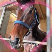 ヒメ日記 2025/04/11 18:34 投稿 本上 西船橋おかあさん