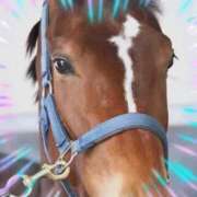 ヒメ日記 2025/04/14 19:01 投稿 本上 西船橋おかあさん