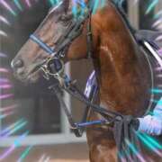 ヒメ日記 2025/04/21 13:44 投稿 本上 西船橋おかあさん