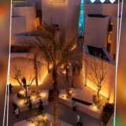 ヒメ日記 2025/04/23 18:39 投稿 本上 西船橋おかあさん