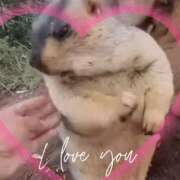 ヒメ日記 2025/04/28 11:53 投稿 本上 西船橋おかあさん