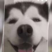 ヒメ日記 2025/05/15 22:53 投稿 本上 西船橋おかあさん