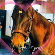 ヒメ日記 2025/05/18 12:23 投稿 本上 西船橋おかあさん