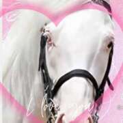 ヒメ日記 2025/05/20 08:54 投稿 本上 西船橋おかあさん