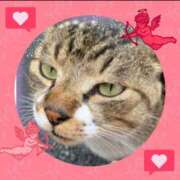 ヒメ日記 2025/05/27 19:27 投稿 本上 西船橋おかあさん