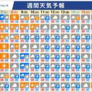 ヒメ日記 2025/06/06 08:08 投稿 本上 西船橋おかあさん