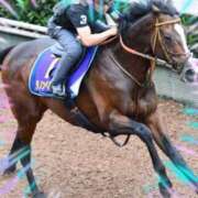 ヒメ日記 2025/06/12 22:34 投稿 本上 西船橋おかあさん