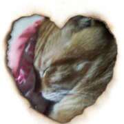 ヒメ日記 2025/06/19 14:34 投稿 本上 西船橋おかあさん