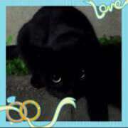 ヒメ日記 2025/06/25 13:42 投稿 本上 西船橋おかあさん