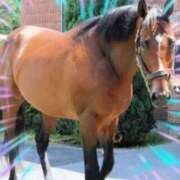 ヒメ日記 2025/06/28 14:39 投稿 本上 西船橋おかあさん