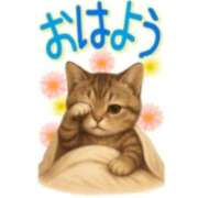 ヒメ日記 2025/06/29 07:29 投稿 本上 西船橋おかあさん