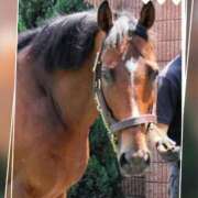 ヒメ日記 2025/07/06 12:42 投稿 本上 西船橋おかあさん