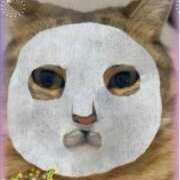 ヒメ日記 2025/07/09 19:23 投稿 本上 西船橋おかあさん