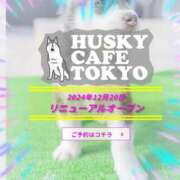 ヒメ日記 2025/07/10 13:41 投稿 本上 西船橋おかあさん