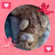 ヒメ日記 2025/07/15 09:06 投稿 本上 西船橋おかあさん