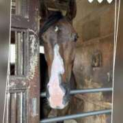 ヒメ日記 2025/07/16 10:57 投稿 本上 西船橋おかあさん