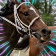 ヒメ日記 2025/07/17 12:02 投稿 本上 西船橋おかあさん