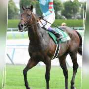 ヒメ日記 2025/07/27 12:40 投稿 本上 西船橋おかあさん