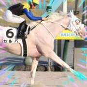 ヒメ日記 2025/08/03 09:04 投稿 本上 西船橋おかあさん