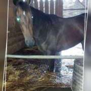 ヒメ日記 2025/08/08 11:00 投稿 本上 西船橋おかあさん