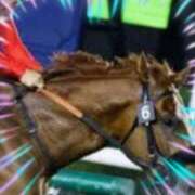 ヒメ日記 2025/08/20 08:28 投稿 本上 西船橋おかあさん