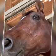 ヒメ日記 2025/08/29 09:01 投稿 本上 西船橋おかあさん