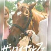 ヒメ日記 2025/09/06 08:40 投稿 本上 西船橋おかあさん