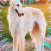 ヒメ日記 2025/09/07 08:58 投稿 本上 西船橋おかあさん