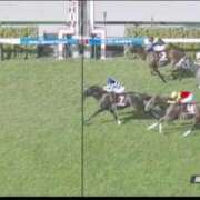 ヒメ日記 2025/09/07 16:00 投稿 本上 西船橋おかあさん