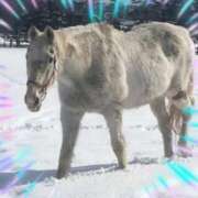 ヒメ日記 2025/09/07 20:10 投稿 本上 西船橋おかあさん