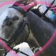 ヒメ日記 2025/09/08 08:17 投稿 本上 西船橋おかあさん