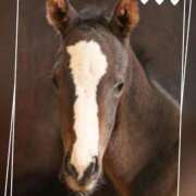 ヒメ日記 2025/09/12 12:10 投稿 本上 西船橋おかあさん