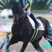 ヒメ日記 2025/09/15 11:50 投稿 本上 西船橋おかあさん