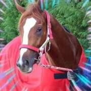 ヒメ日記 2025/09/18 12:00 投稿 本上 西船橋おかあさん