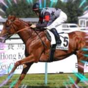 ヒメ日記 2025/10/01 12:20 投稿 本上 西船橋おかあさん