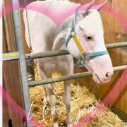 ヒメ日記 2025/10/08 15:20 投稿 本上 西船橋おかあさん