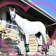 ヒメ日記 2025/10/12 15:20 投稿 本上 西船橋おかあさん