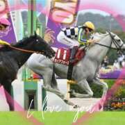 ヒメ日記 2025/10/18 19:50 投稿 本上 西船橋おかあさん