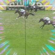 ヒメ日記 2025/10/19 16:00 投稿 本上 西船橋おかあさん