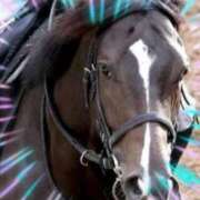 ヒメ日記 2025/10/26 15:00 投稿 本上 西船橋おかあさん