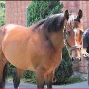 ヒメ日記 2025/10/30 16:20 投稿 本上 西船橋おかあさん